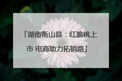 湖南衡山县：红脆桃上市 电商助力拓销路