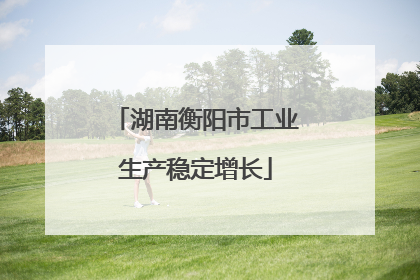 湖南衡阳市工业生产稳定增长