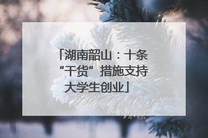 湖南韶山：十条“干货”措施支持大学生创业