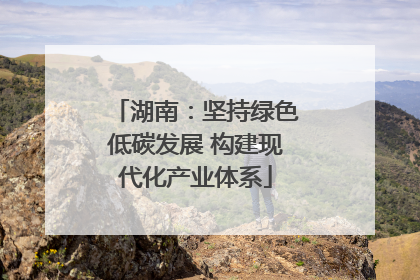 湖南：坚持绿色低碳发展 构建现代化产业体系