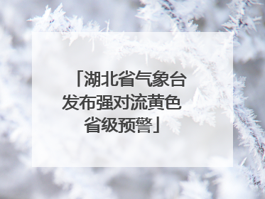 湖北省气象台发布强对流黄色省级预警