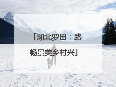 湖北罗田：路畅景美乡村兴