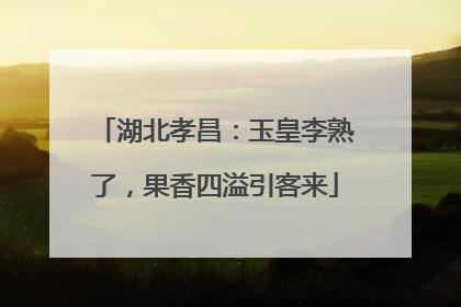 湖北孝昌：玉皇李熟了，果香四溢引客来