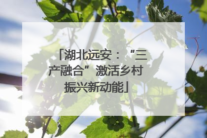 湖北远安：“三产融合”激活乡村振兴新动能