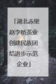 湖北赤壁赵李桥茶业创建民族团结进步示范企业
