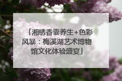 湘绣香囊养生+色彩风暴：梅溪湖艺术博物馆文化体验盛宴