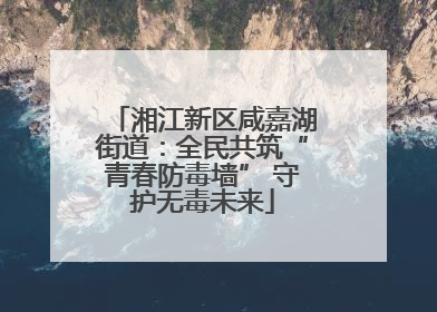 湘江新区咸嘉湖街道：全民共筑“青春防毒墙” 守护无毒未来
