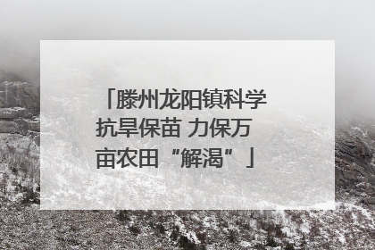 滕州龙阳镇科学抗旱保苗 力保万亩农田“解渴”