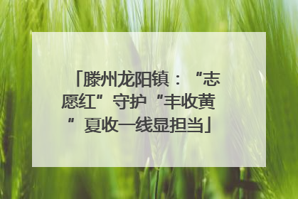 滕州龙阳镇：“志愿红”守护“丰收黄”夏收一线显担当