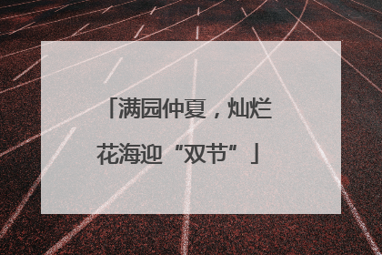 满园仲夏，灿烂花海迎“双节”