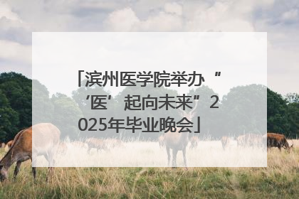 滨州医学院举办“‘医’起向未来”2025年毕业晚会