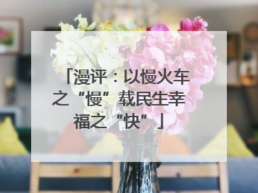 漫评：以慢火车之“慢”载民生幸福之“快”