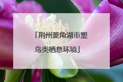 荆州菱角湖重塑鸟类栖息环境