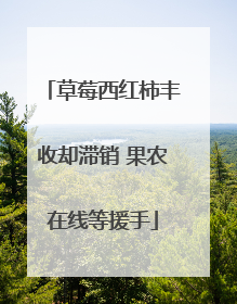 草莓西红柿丰收却滞销 果农在线等援手