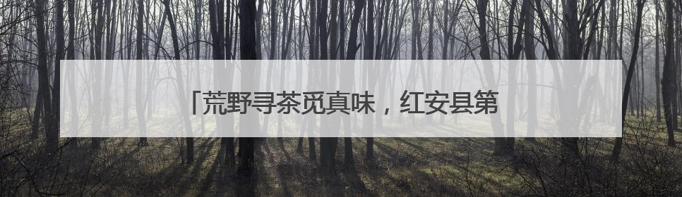 荒野寻茶觅真味，红安县第九届老君眉茶文化节启幕