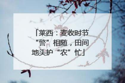 莱西：麦收时节“警”相随，田间地头护“农”忙