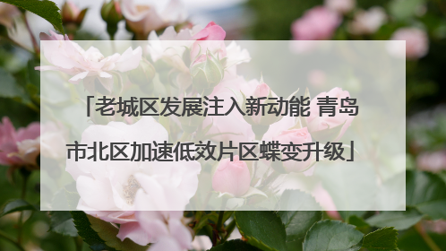 老城区发展注入新动能 青岛市北区加速低效片区蝶变升级