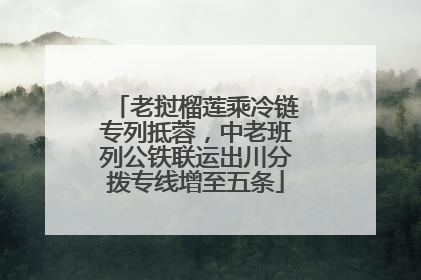 老挝榴莲乘冷链专列抵蓉，中老班列公铁联运出川分拨专线增至五条