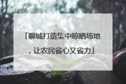 聊城打造集中晾晒场地，让农民省心又省力
