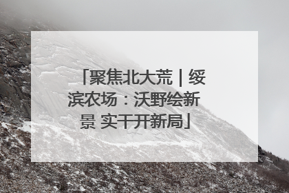 聚焦北大荒｜绥滨农场：沃野绘新景 实干开新局