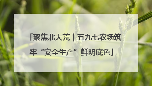 聚焦北大荒｜五九七农场筑牢“安全生产”鲜明底色