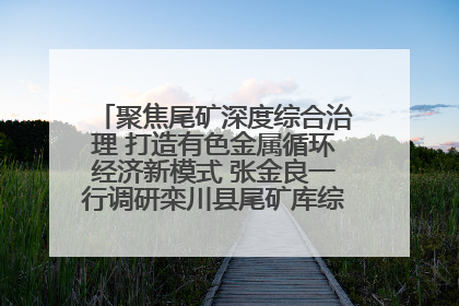 聚焦尾矿深度综合治理 打造有色金属循环经济新模式 张金良一行调研栾川县尾矿库综合治理工作