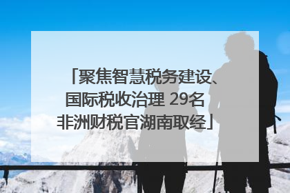 聚焦智慧税务建设、国际税收治理 29名非洲财税官湖南取经