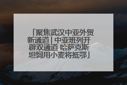 聚焦武汉中亚外贸新通道│中亚班列开辟双通道 哈萨克斯坦饲用小麦将抵鄂