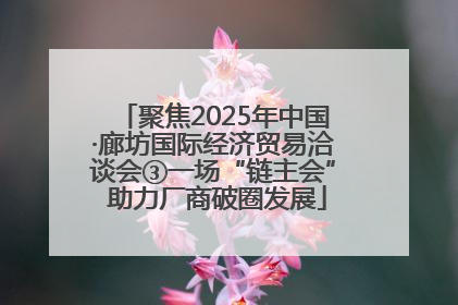 聚焦2025年中国·廊坊国际经济贸易洽谈会③一场“链主会” 助力厂商破圈发展