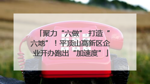 聚力“六做” 打造“六地”！平顶山高新区企业开办跑出“加速度”