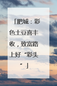 肥城：彩色土豆喜丰收，致富路上好“彩头”