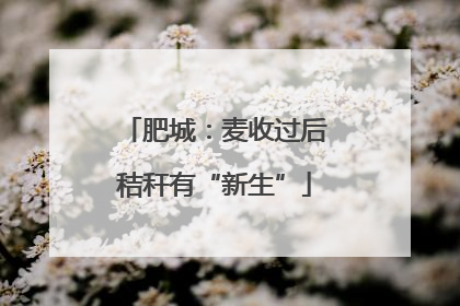肥城：麦收过后秸秆有“新生”