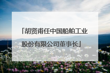 胡贤甫任中国船舶工业股份有限公司董事长