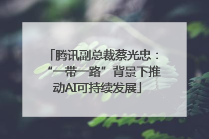 腾讯副总裁蔡光忠：“一带一路”背景下推动AI可持续发展