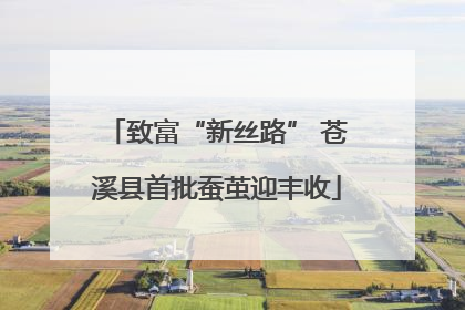 致富“新丝路” 苍溪县首批蚕茧迎丰收
