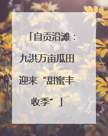 自贡沿滩：九洪万亩瓜田迎来“甜蜜丰收季”