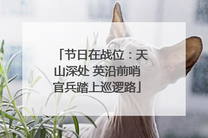 节日在战位：天山深处 英沿前哨官兵踏上巡逻路