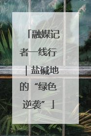 融媒记者一线行｜盐碱地的“绿色逆袭”