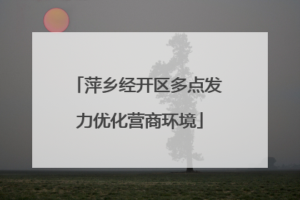 萍乡经开区多点发力优化营商环境