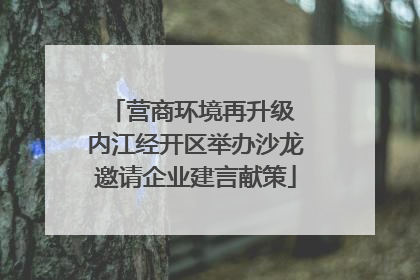 营商环境再升级 内江经开区举办沙龙邀请企业建言献策