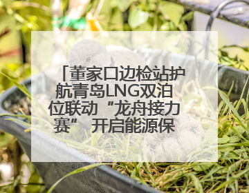 董家口边检站护航青岛LNG双泊位联动“龙舟接力赛” 开启能源保供新篇章
