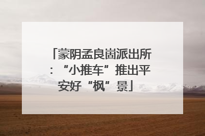 蒙阴孟良崮派出所：“小推车”推出平安好“枫”景