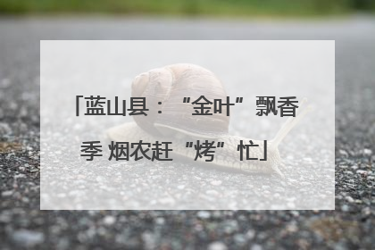 蓝山县：“金叶”飘香季 烟农赶“烤”忙