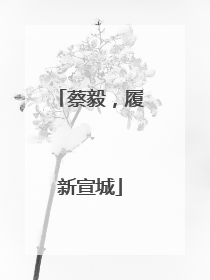 蔡毅，履新宣城