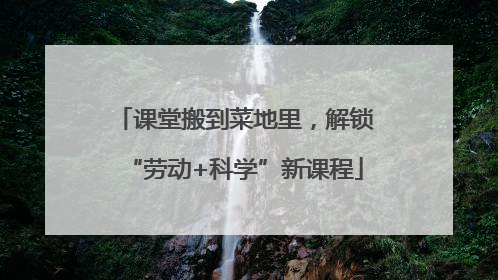 课堂搬到菜地里，解锁“劳动+科学”新课程