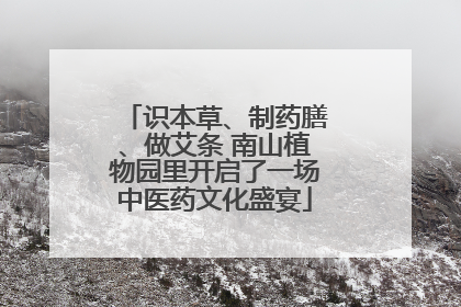 识本草、制药膳、做艾条 南山植物园里开启了一场中医药文化盛宴