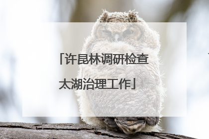 许昆林调研检查太湖治理工作