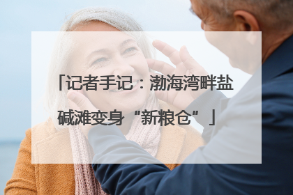 记者手记：渤海湾畔盐碱滩变身“新粮仓”