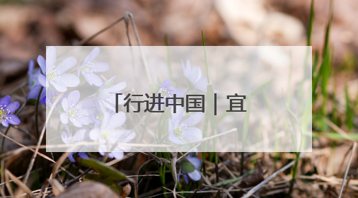 行进中国｜宜居锦州：绿水青山入画来