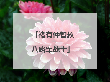 褚有仲智救八路军战士